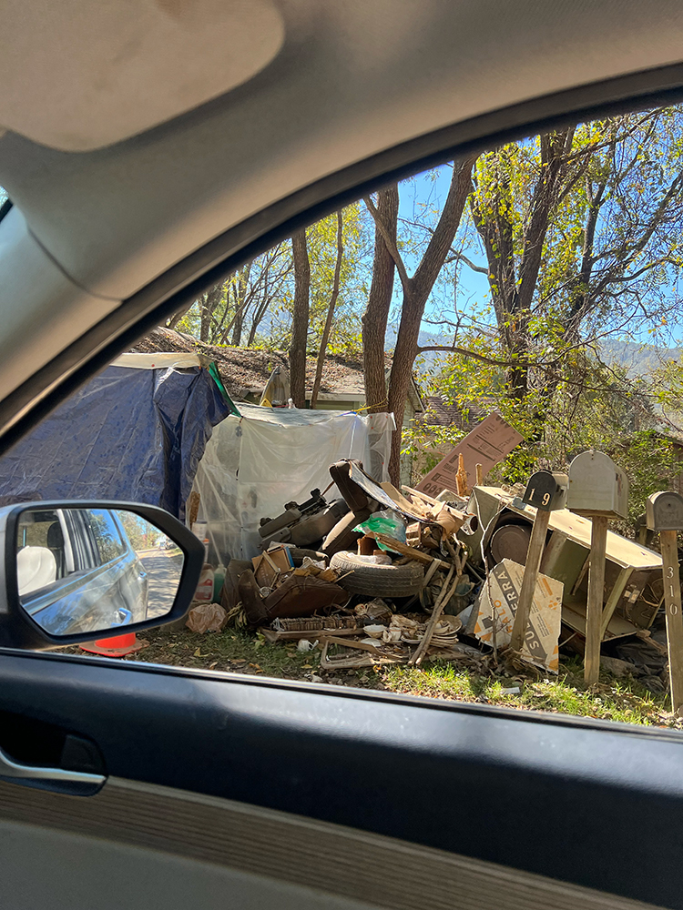 Hurricane Helene Disaster and Recovery